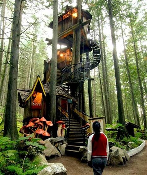 A Glimpse into the Enchanting Lives of Forest Dwellers: Magical Arboreal Abodes